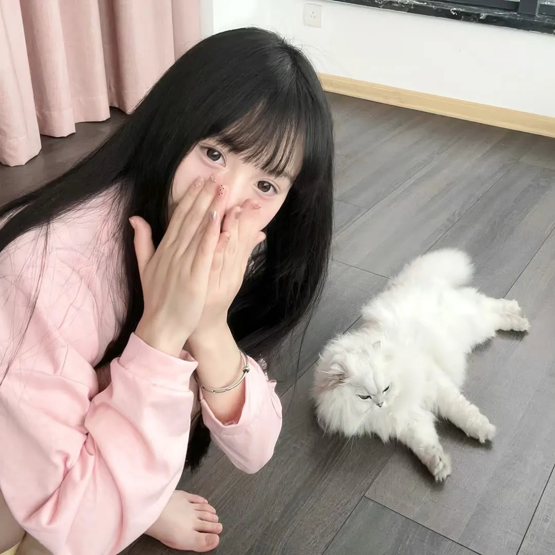 功夫熊猫之盖世五侠的秘密