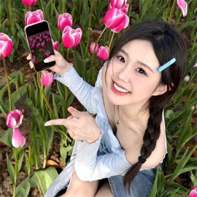球场上的朝阳